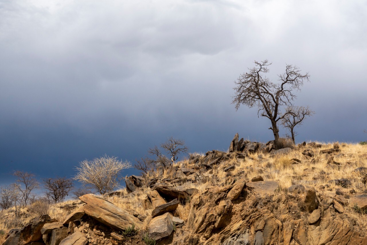 Turismo: Transafrica